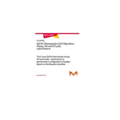 QCM Chemotaxis Cell Migration Assay, 24-well (5 µm), colorimetric