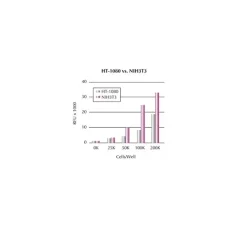 QCM Chemotaxis Cell Migration Assay, 24-well (8 µm), fluorimetric