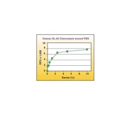 QCM Chemotaxis Cell Migration Assay, 96-well (3 µm), fluorimetric