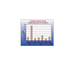 QCM Collagen Cell Invasion Assay, 24-well (8 µm), Colorimetric