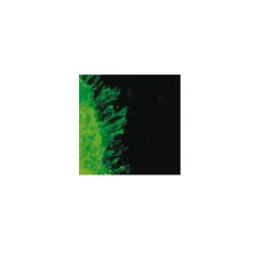 3D Collagen Culture Kit