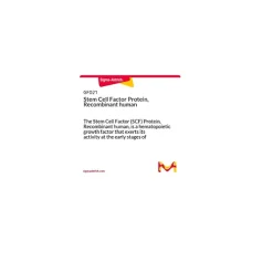 Stem Cell Factor Protein, Recombinant human