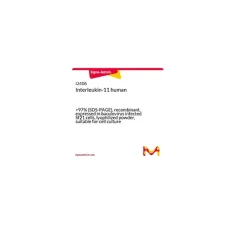 IL-11 human