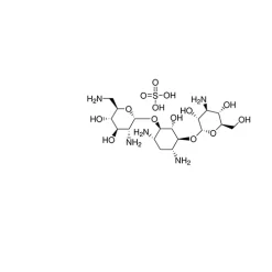 Kanamycin B sulfate salt