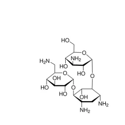 Kanamycin solution from Streptomyces kanamyceticus