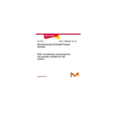 Keratinocyte Growth Factor human