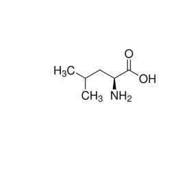 Leucine