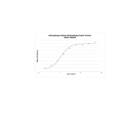 Macrophage Colony-Stimulating Factor human