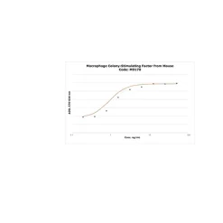Macrophage Colony-Stimulating Factor from mouse