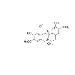 Phellodendrine chloride