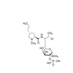 Clindamycin Phosphate