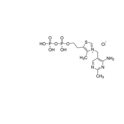 Thiamine pyrophosphate