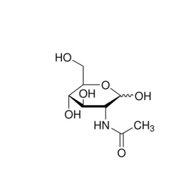 N-Acetylglucosamine