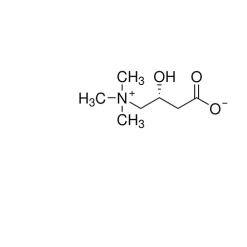 Levocarnitine