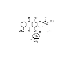 Doxorubicin Hydrochloride