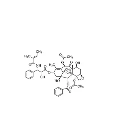 Paclitaxel Related Compound A