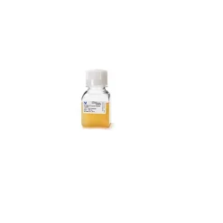 PLTMax Human Platelet Lysate