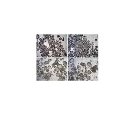 3dGRO® Lung Organoid Branching Medium