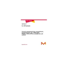 IL-15 human