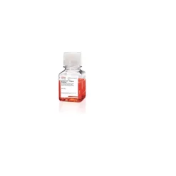 StableCell™ Trypsin Solution