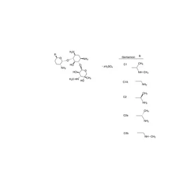 Gentamicin for peak identification