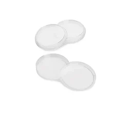 Dish, Petri, 15 x 100 mm