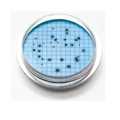 m-ColiBlue24® Prepared Agar Plates, 15/pk