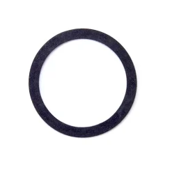 Gasket, Dissolved Oxygen Probe Body