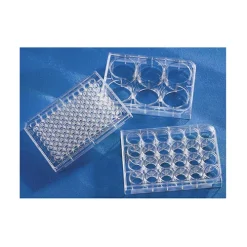Corning® 96 Well TC-Treated Microplates