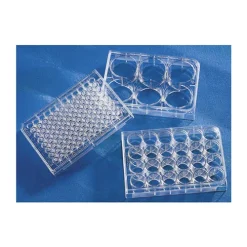 Corning® 96 Well TC-Treated Microplates