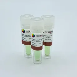 Chỉ thị sinh học tiệt trùng True Indicating EO SCBI 10^6 (SCEA-06)