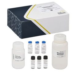 Bộ xử lý mẫu Glyphosate cho xét nghiệm miễn dịch hạt từ