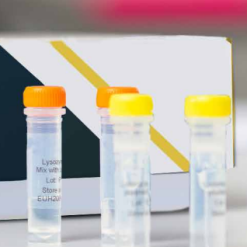 Microgen Campylobacter Latex Test – F46