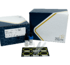 Microgen Staph Latex Test – M43
