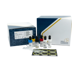 Microgen Legionella Latex Test – M45